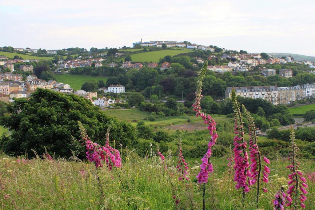 Bed & Breakfast Laston House Ilfracombe